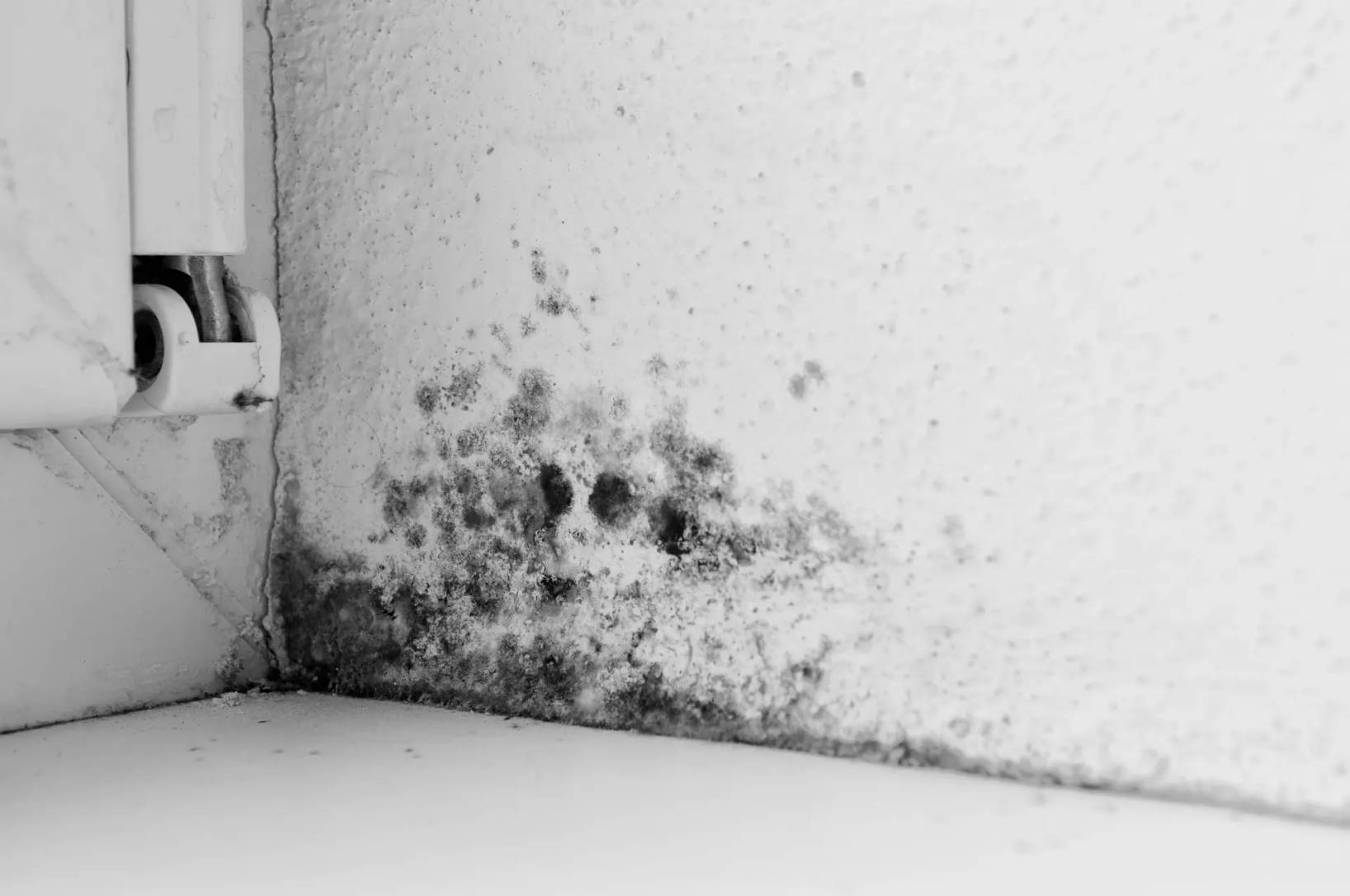 Traitement humidité remontées capillaires moisissure