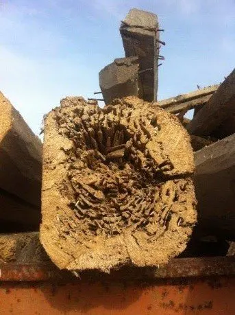 Traitement bois de charpente à Périgueux